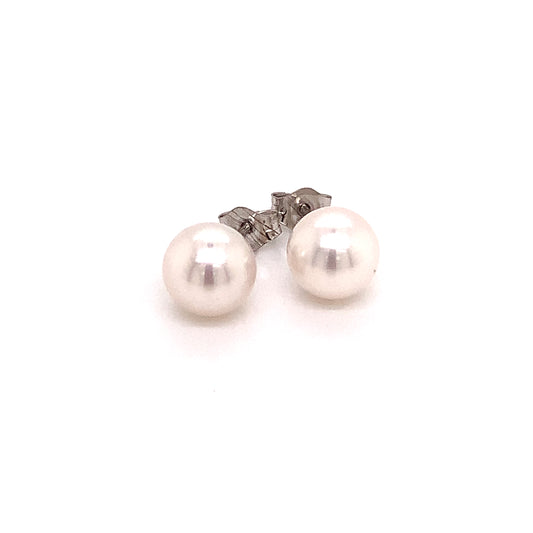Akoya Pearl Earrings 14k White Gold 6.97 mm Certified $599 015868