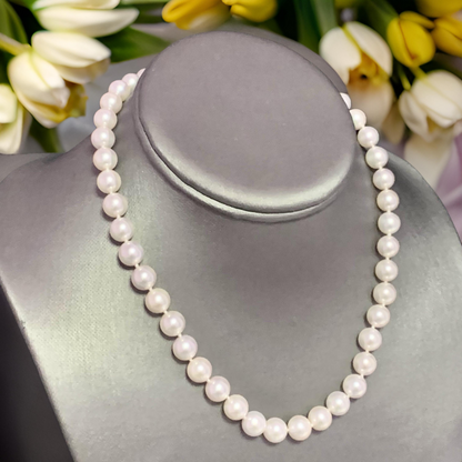 Akoya Pearl Necklace 14k Yellow Gold 8.5 mm 16" Certified $3,950 111841