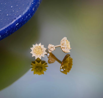 Natural Sapphire Diamond Stud Earrings 14k Yellow Gold 2 TCW Certified $4,975 211887