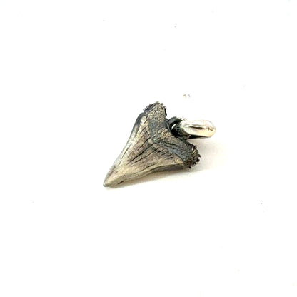 David Yurman Black Diamond Tooth Pendant Sterling Silver Estate DY621