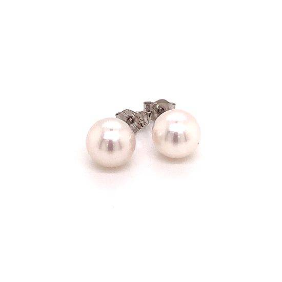 Akoya Pearl Stud Earrings 14k White Gold 6.95 mm Certified $599 015867