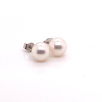 Akoya Pearl Earrings 14k White Gold 7.42 mm Certified $699 015871 - Certified Estate Jewelry